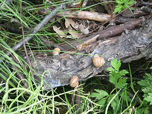 Unterschlupfmglichkeiten