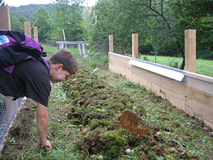 Zaunkonstruktionen und Mooswalm in der Erstellungsphase