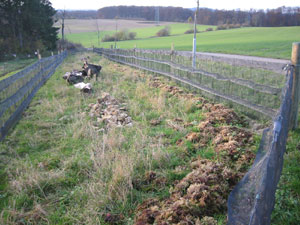 Schneckengarten in Buttenhausen