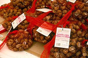 Schneckenmarkt Piemont